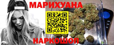 сатива Нальчик