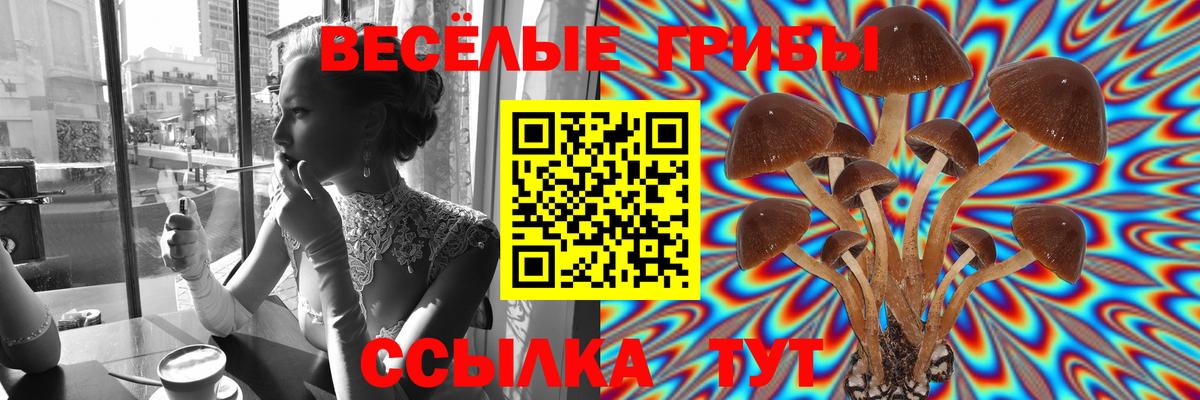 Березники  Псилоцибиновые грибы Cubensis  Вход с VPN 
